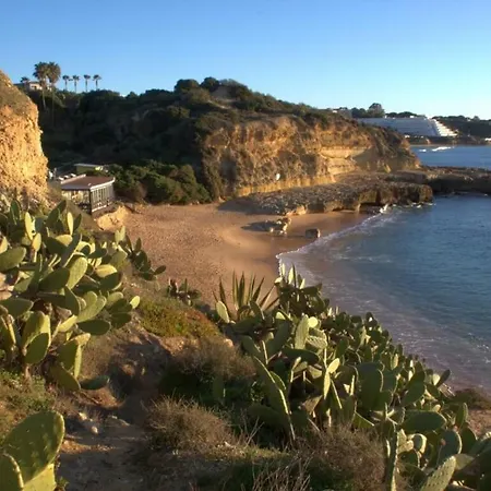 Apartment 5-minute Walk To Aveiros *